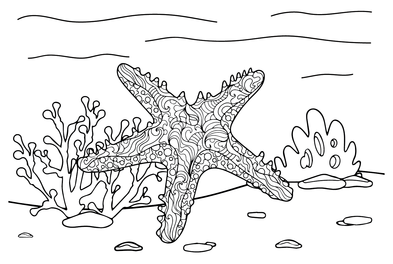 Starfish in The Sea Coloring Page