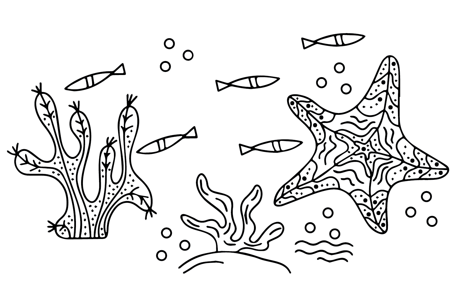 Starfish to Color from Starfish