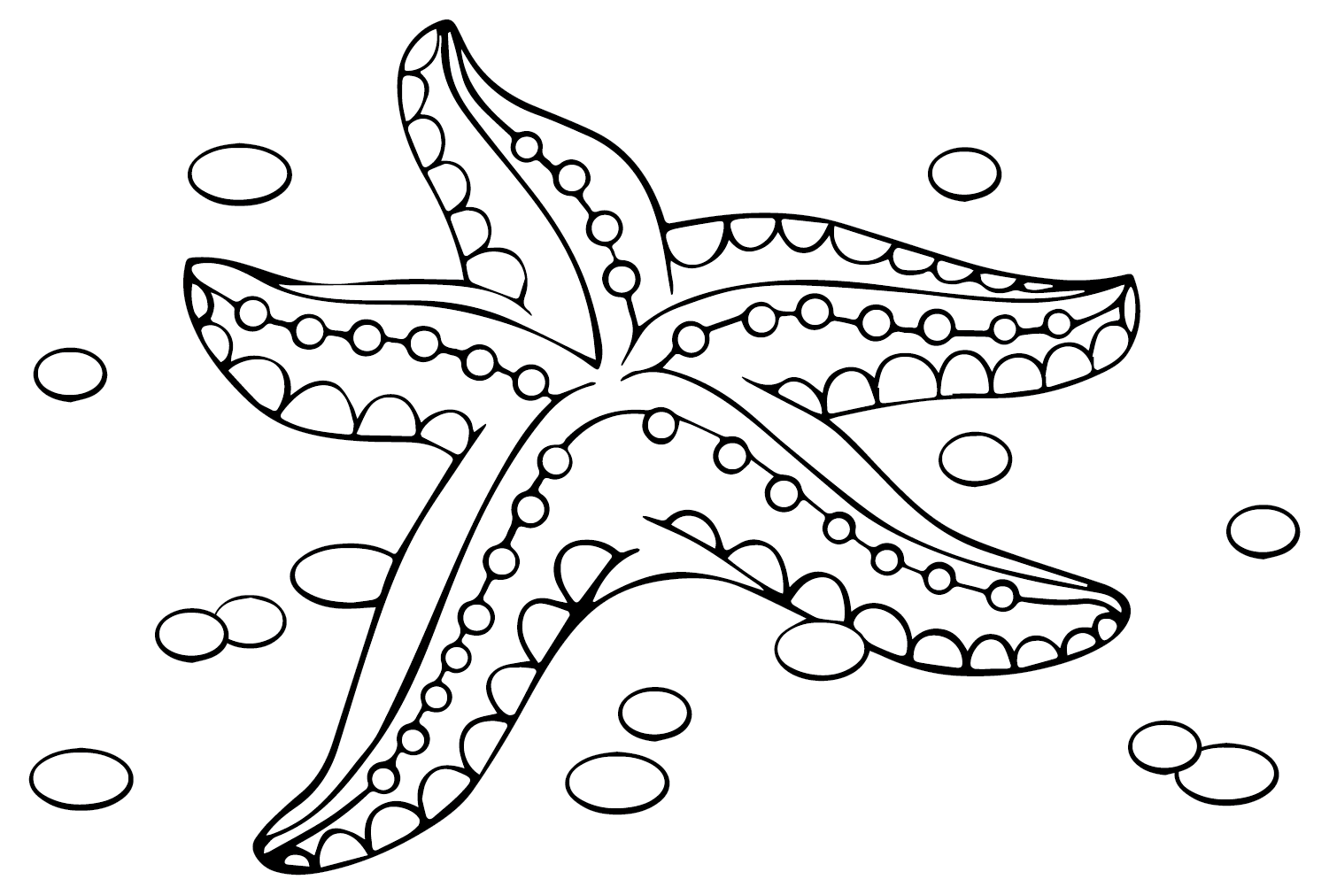 Морская звезда для загрузки с Starfish
