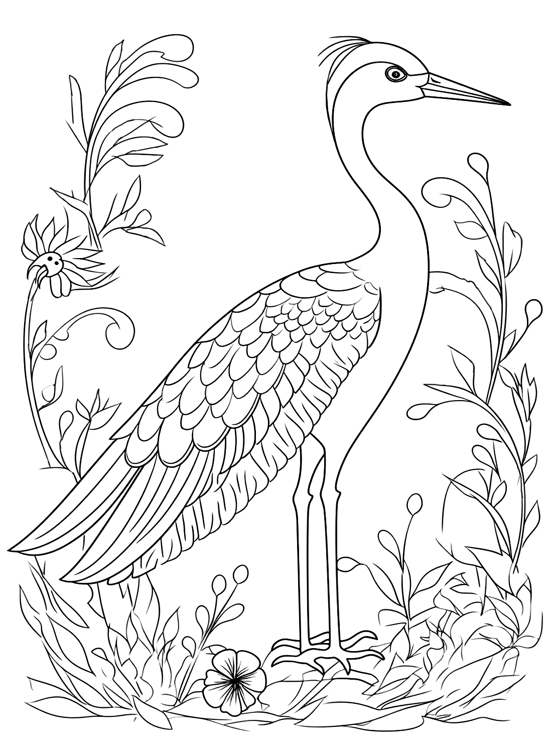Stork with Colorful Feathers Coloring Page - Free Printable Coloring Pages