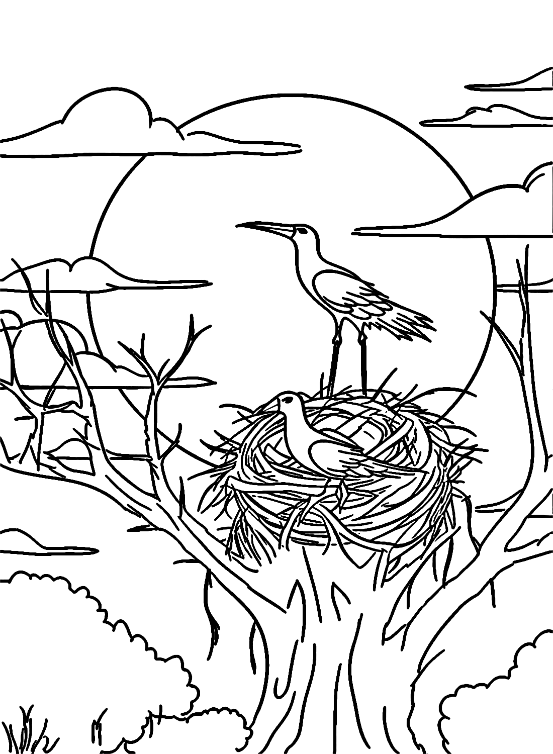 Ooievaars nestelen bovenop een hoge boom van Stork