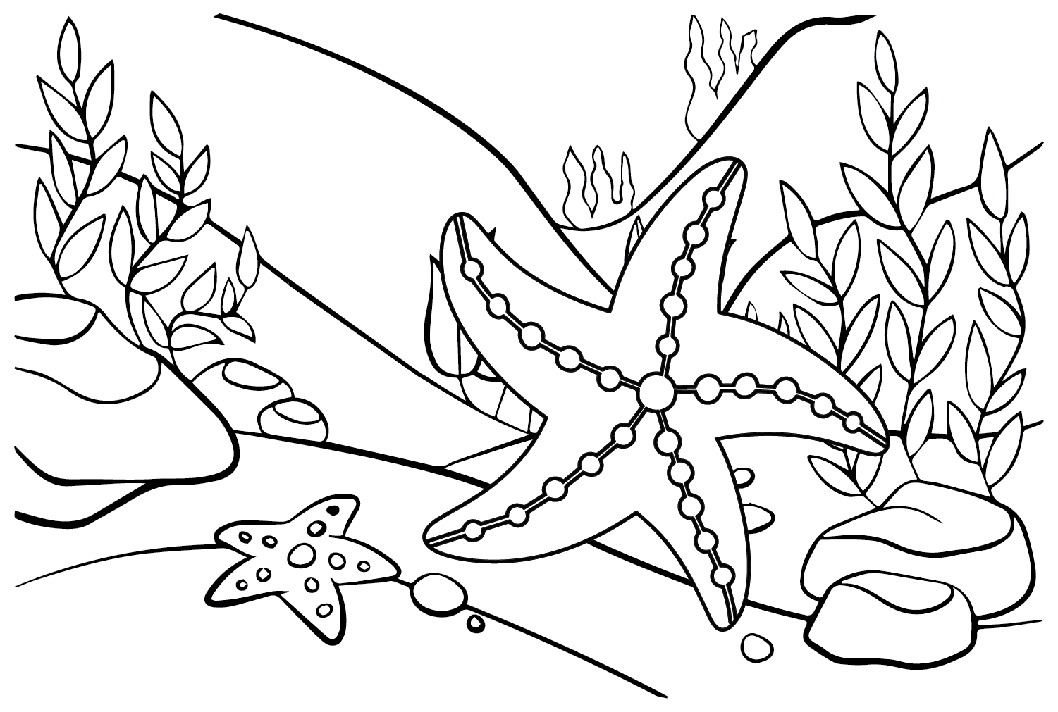 Trazos de estrella de mar de estrella de mar