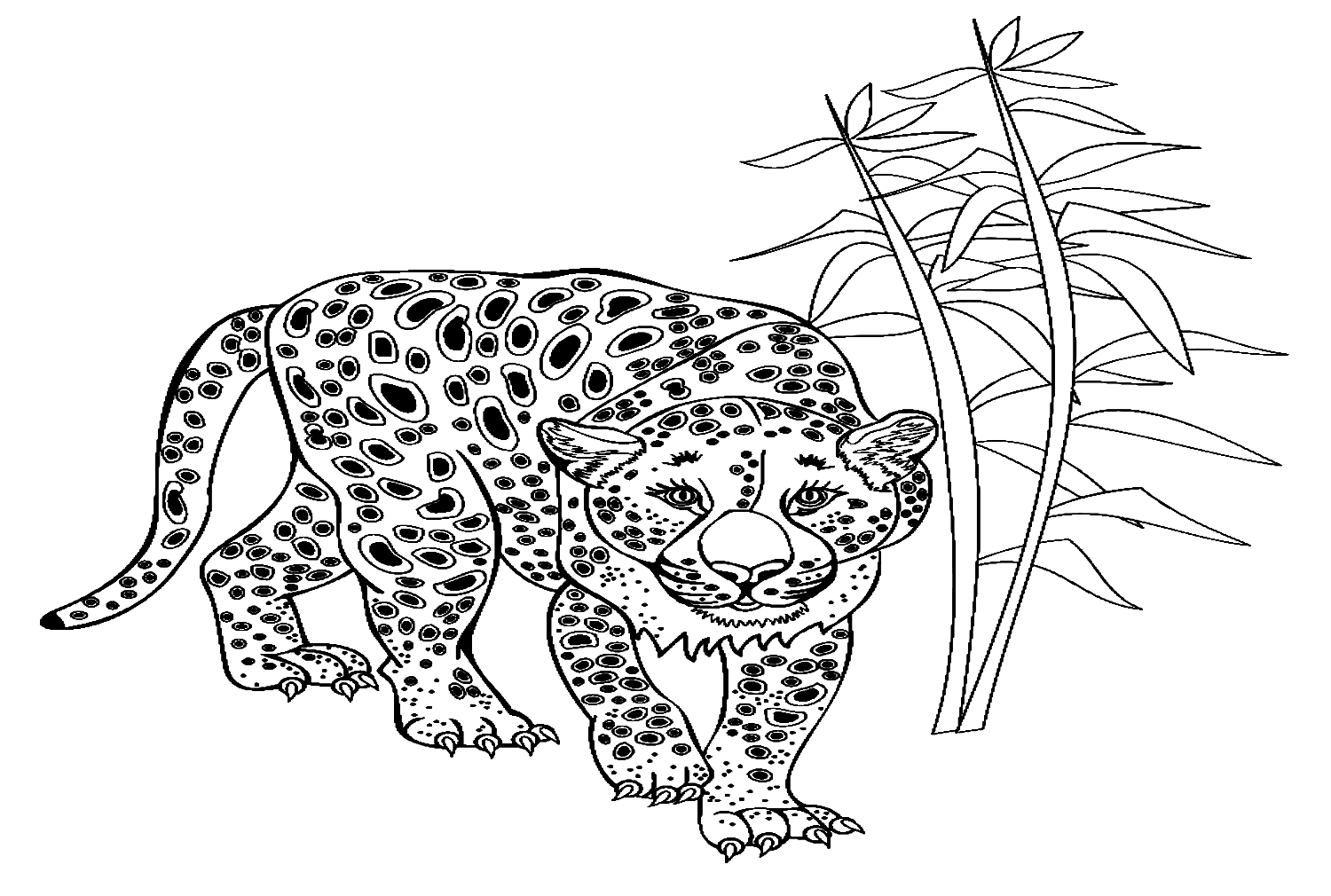 豹子中的丛林中的程式化豹子