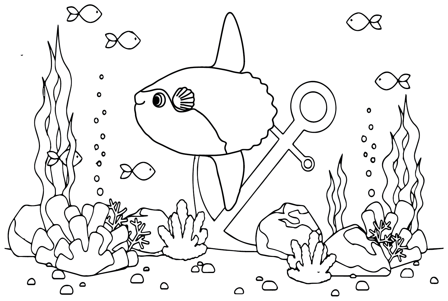Раскраска рыбки для детей 5 6 лет. Раскраски рыбки для детей 6-7 лет. Рыбка с пузырями раскраска. Рыба Луна раскраска. Раскраска рыбки в море.