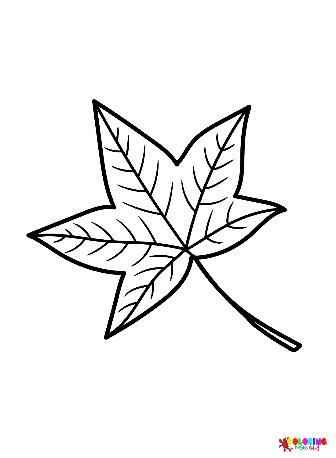 Foglia di Sweetgum dalle foglie