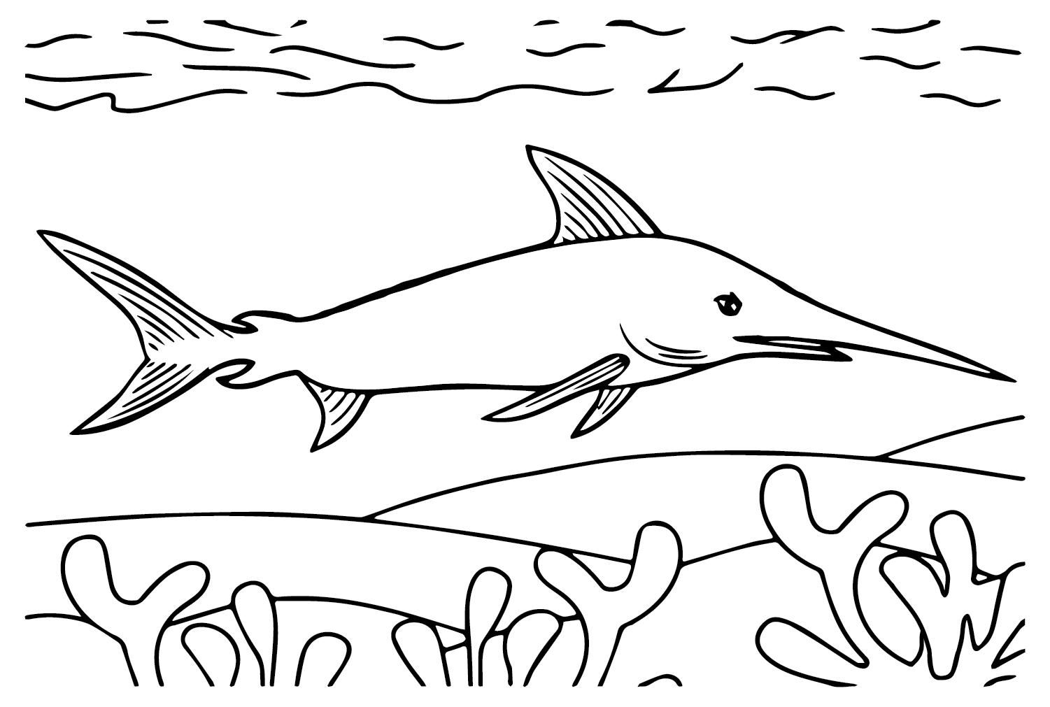 Swordfish Coloring Pages Cute Coloring Pages Vrogue co