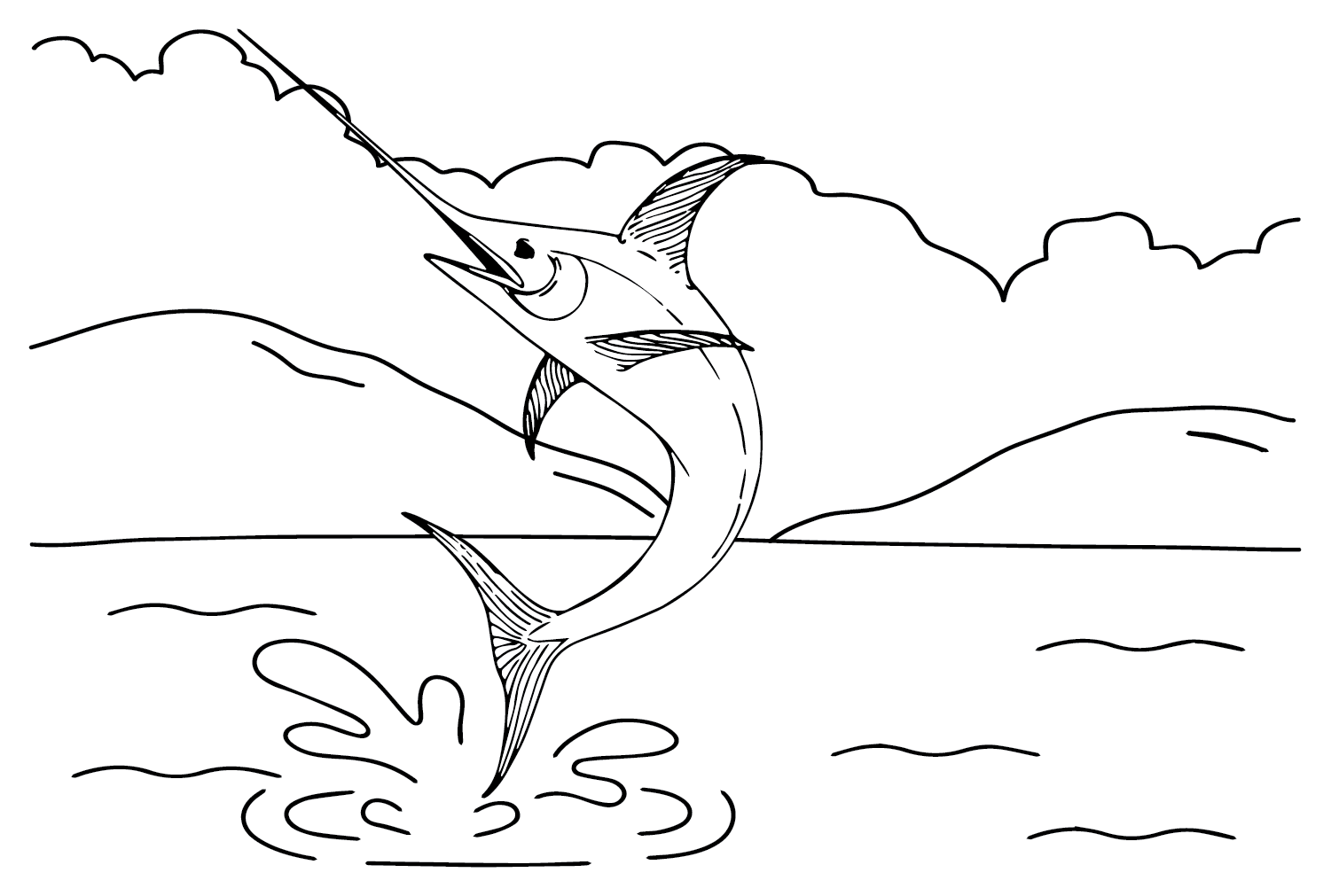 海上的剑鱼 from Swordfish