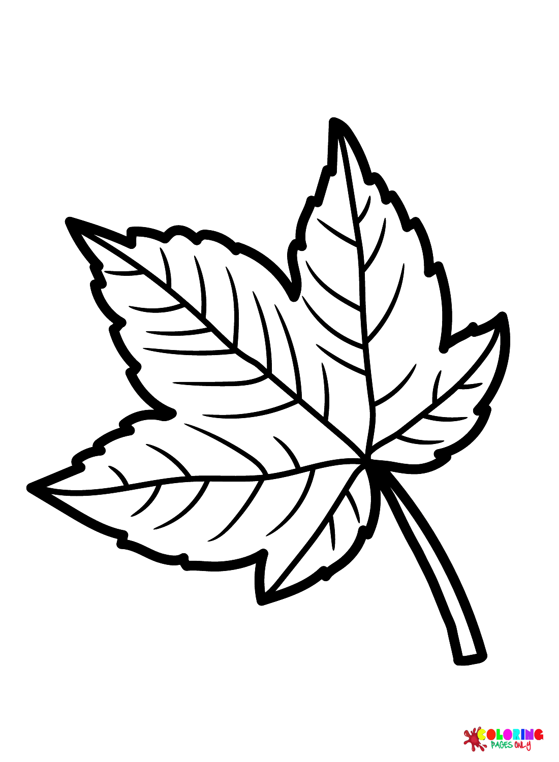 Sycamore blad kleurplaat