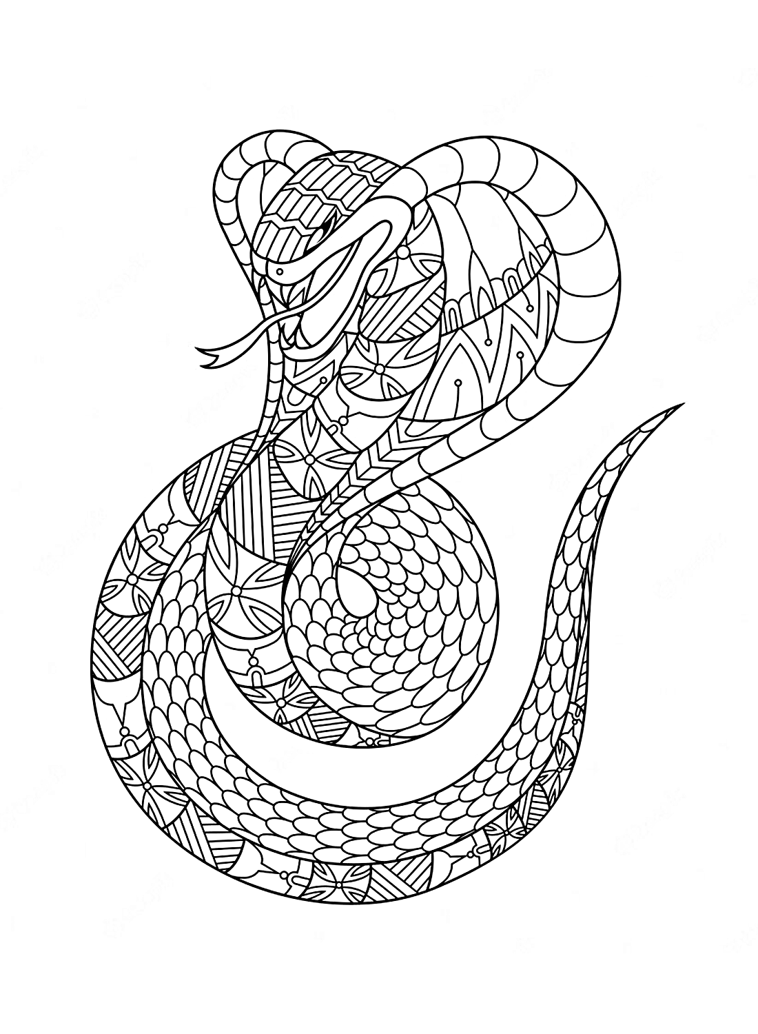 Desenho da Cobra com padrões para colorir