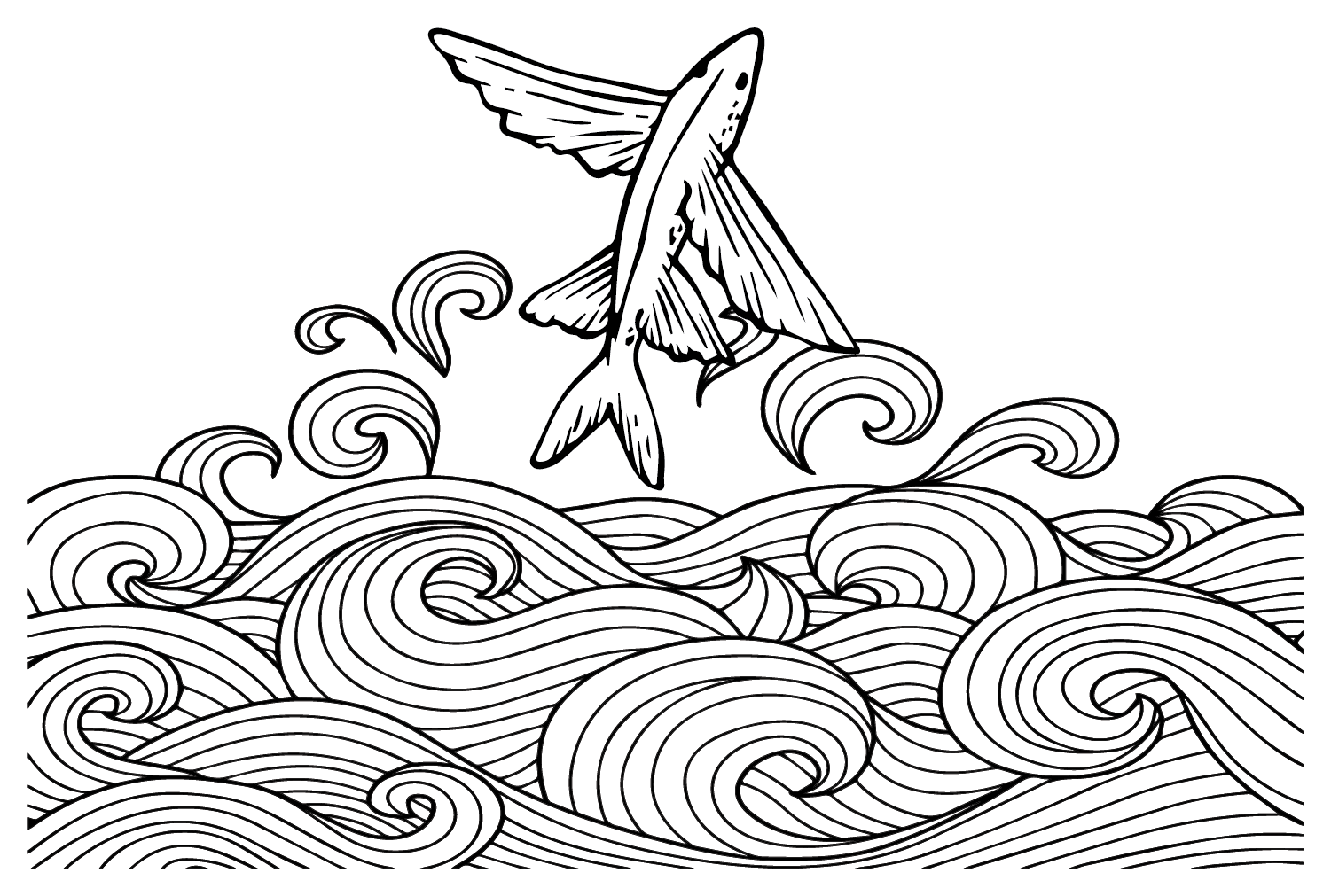 Il pesce volante da Flying Fish
