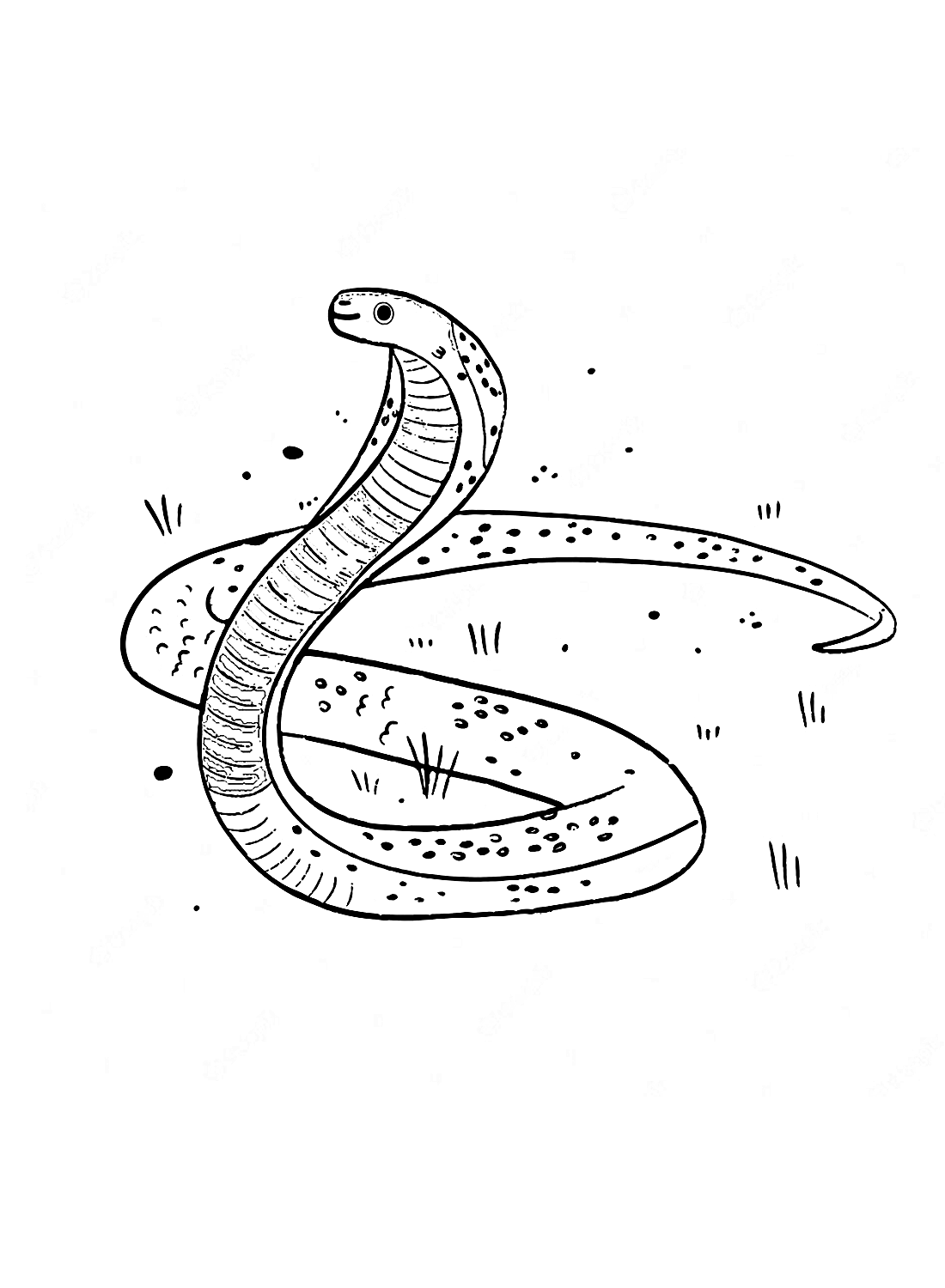 A Cobra Simples Página para Colorir