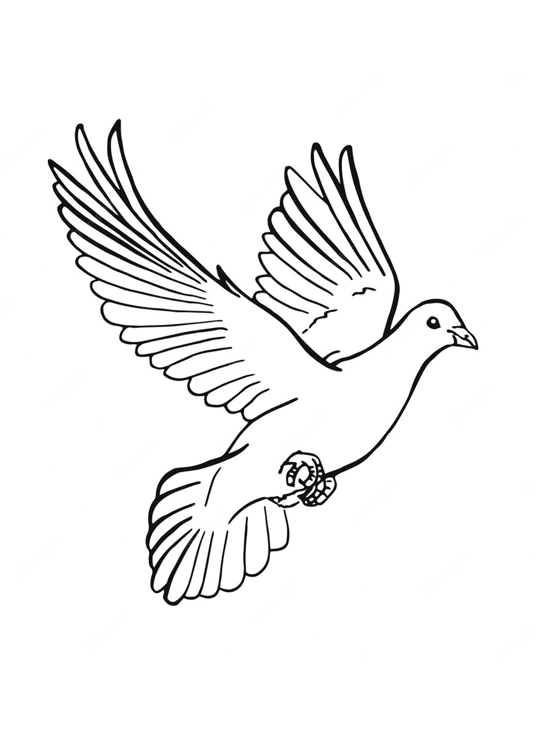 La colombe volante de Doves