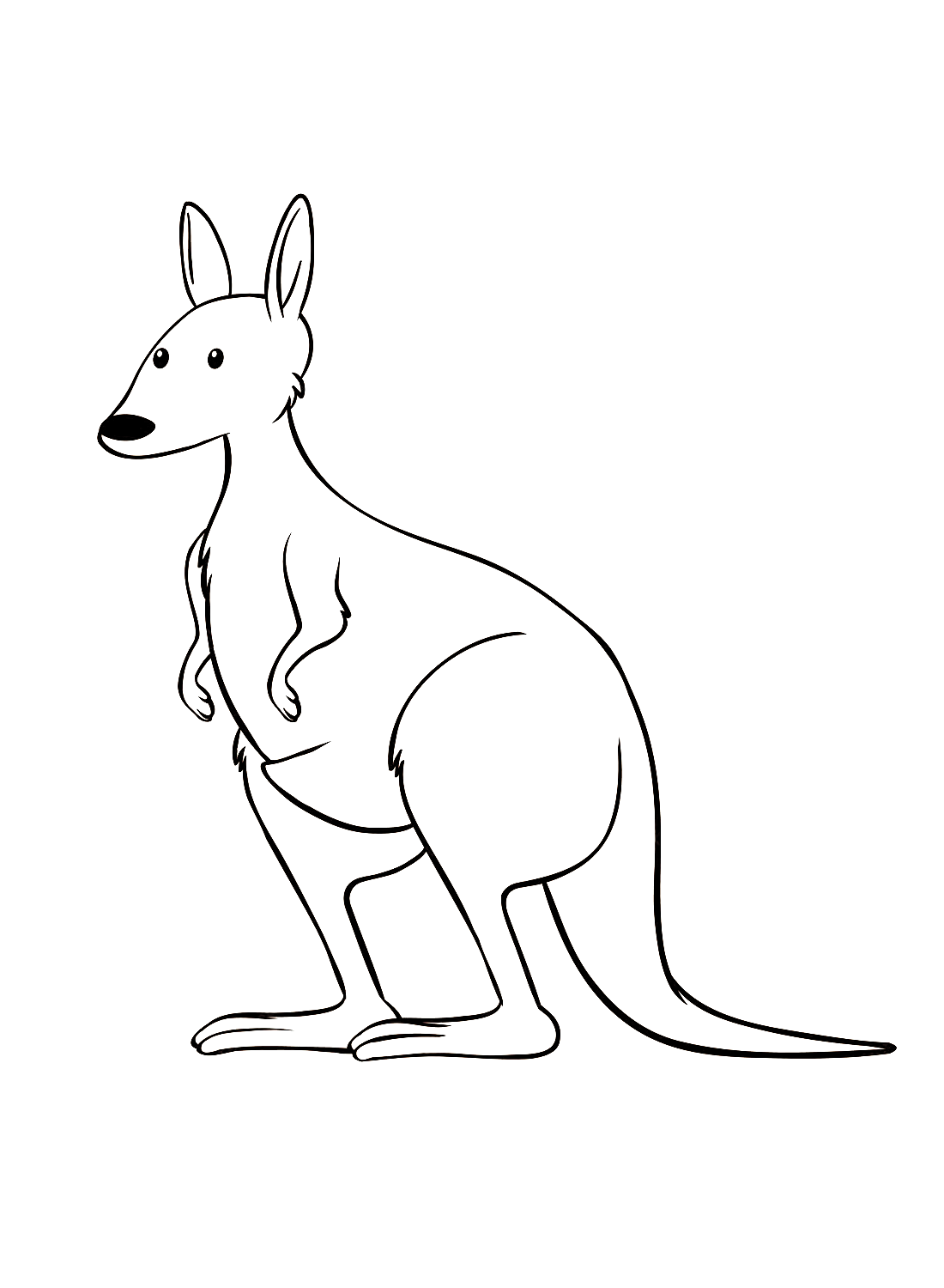 El canguro sencillo de Kangaroo