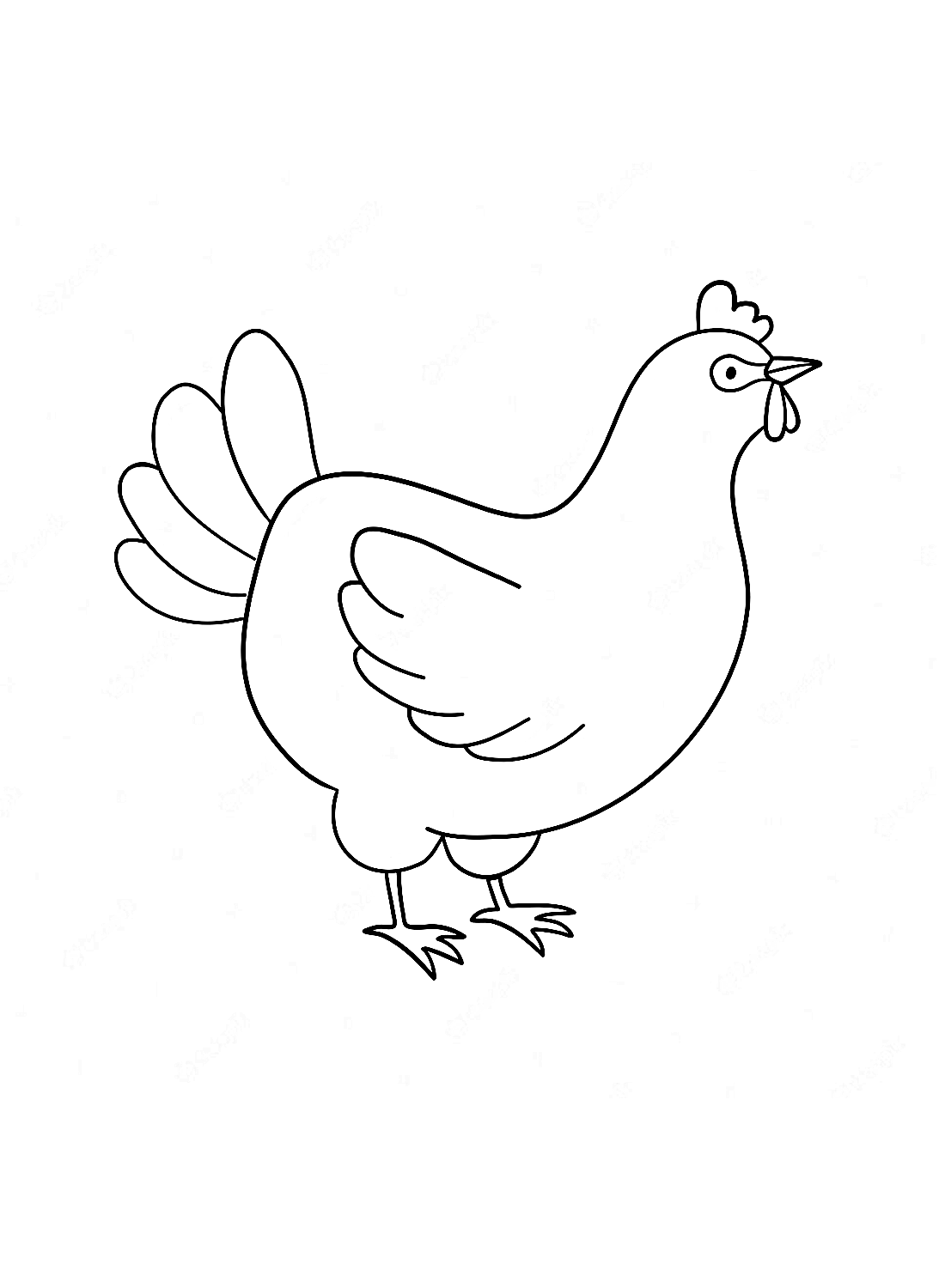 La poule simple de Hen