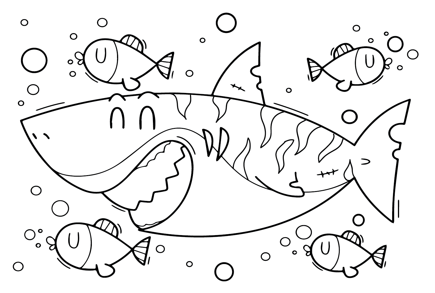 虎鲨快乐来自虎鲨