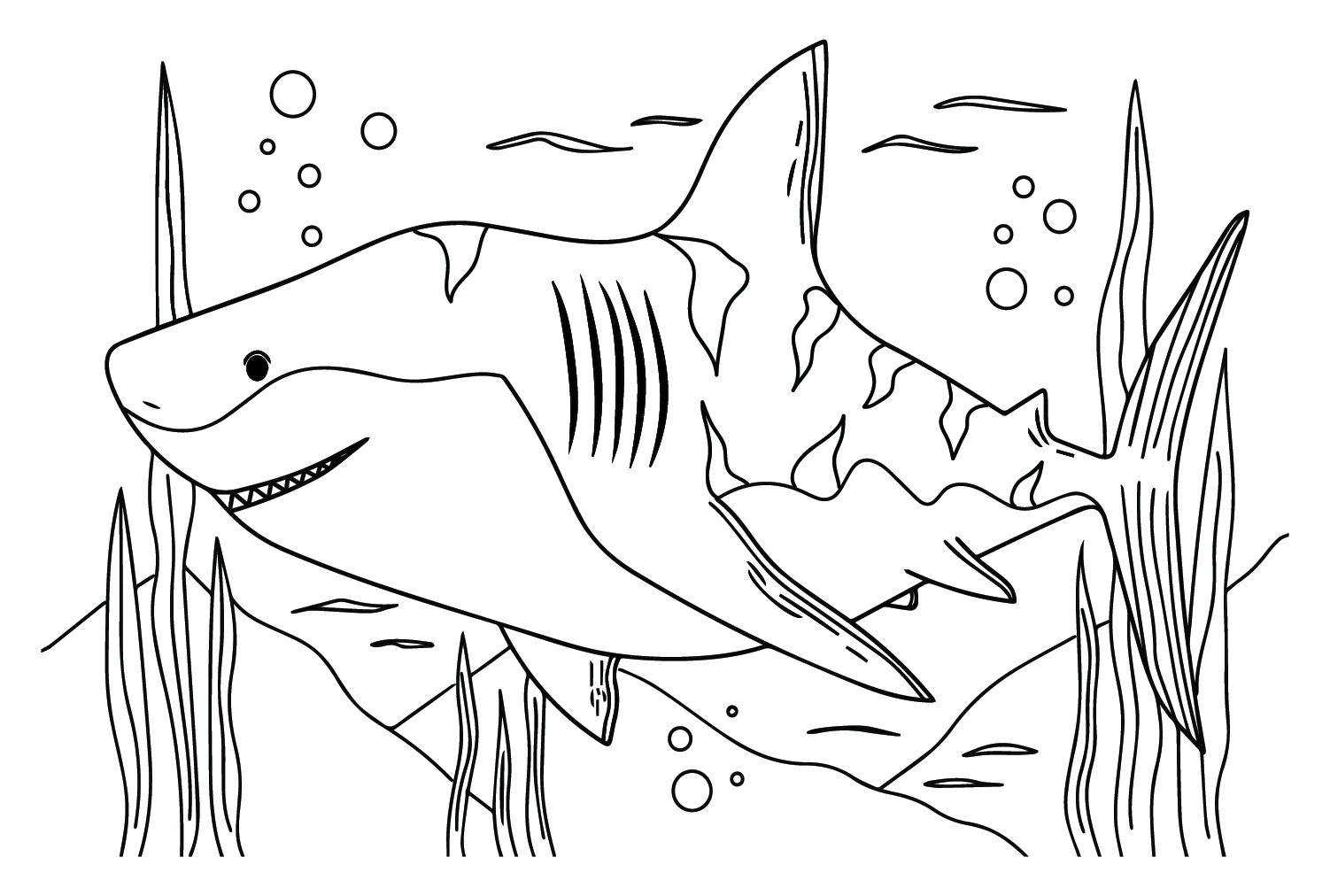 Big Tiger Shark Coloring Page - Free Printable Coloring Pages