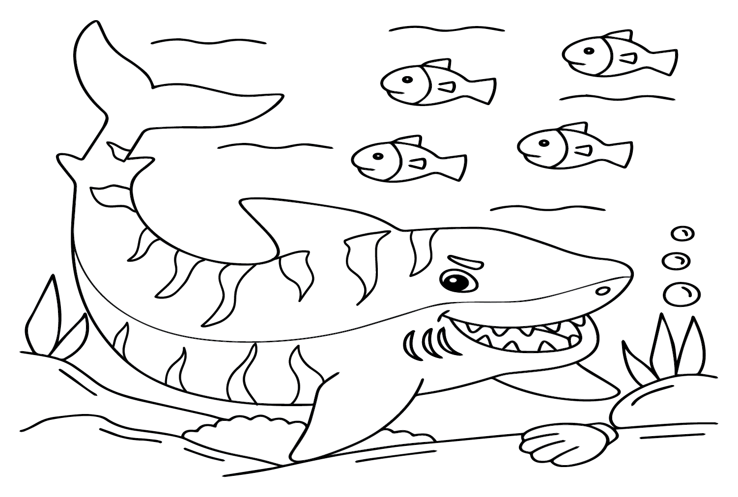 虎鲨打印虎鲨