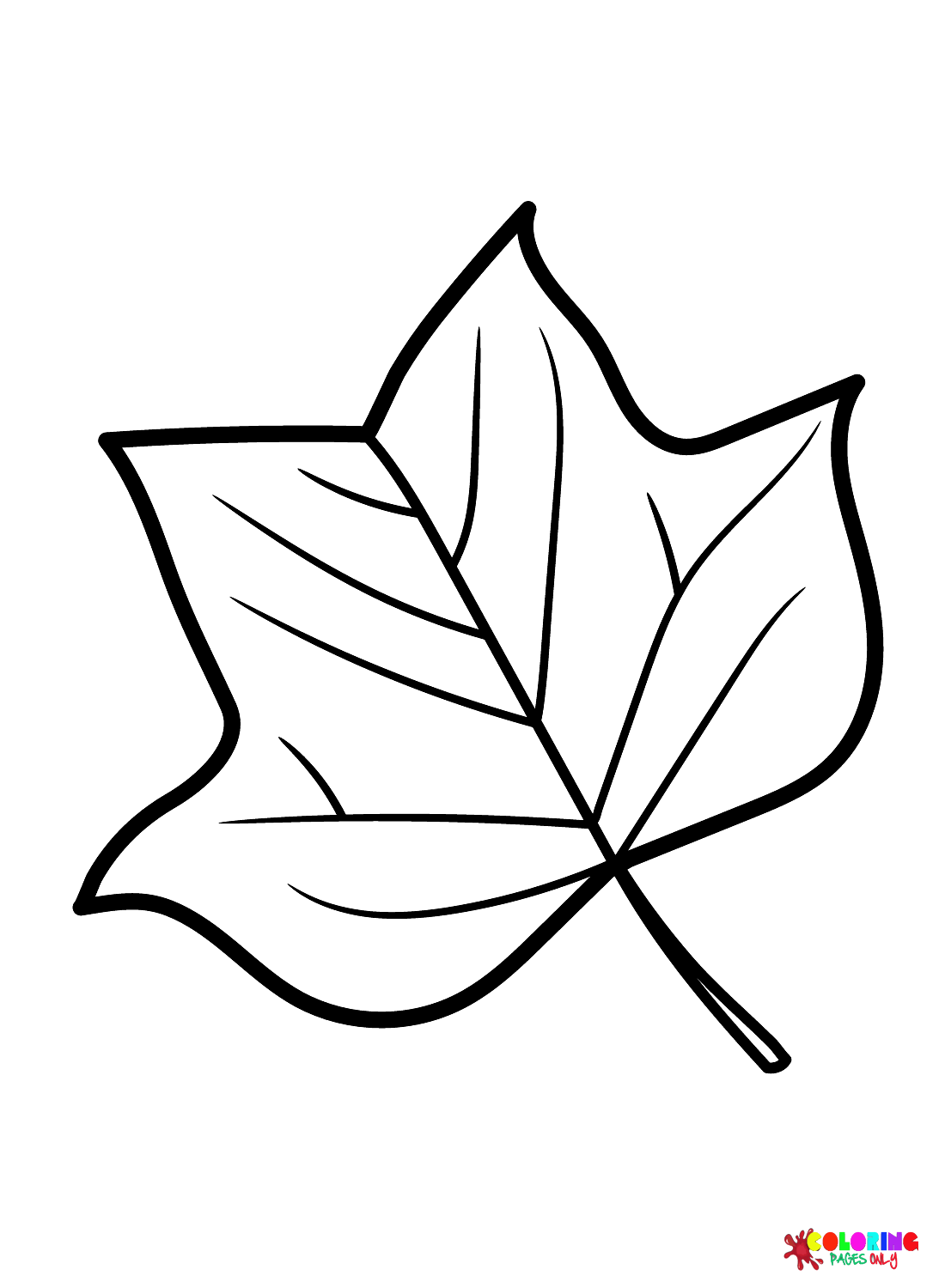 Раскраска Лист тюльпанового дерева
