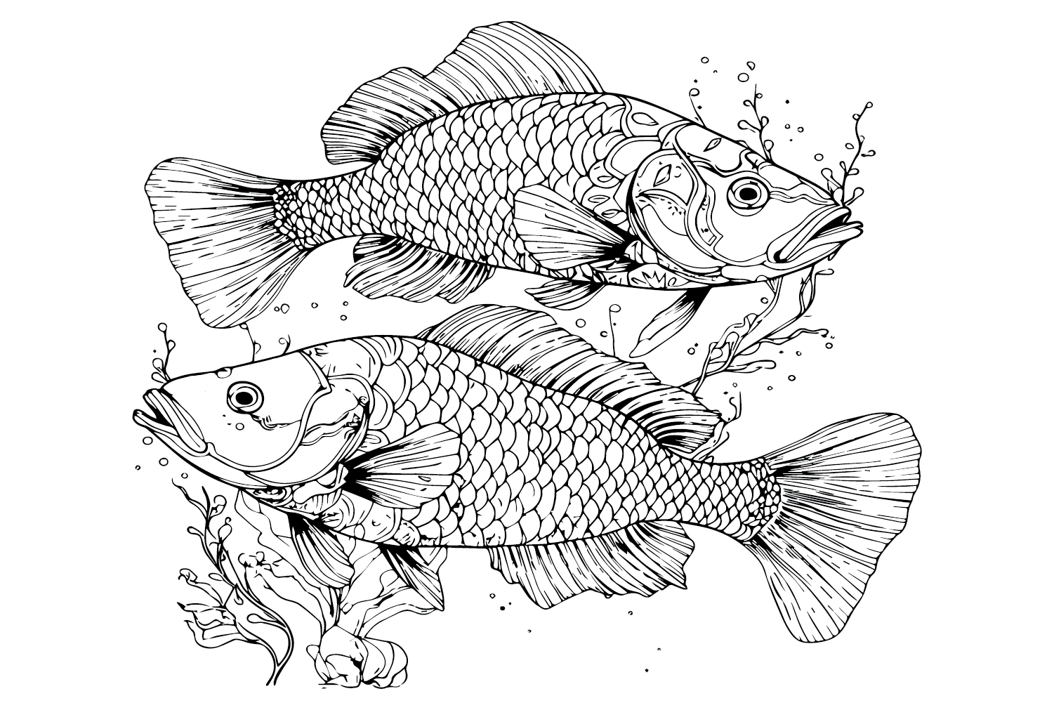 Pescado de dos lubinas de Bass Fish