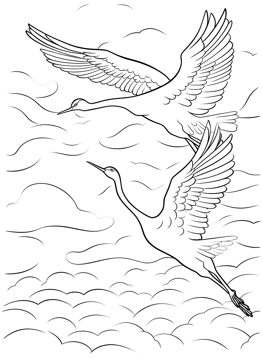 Dos grullas volando en el cielo desde Crane Bird