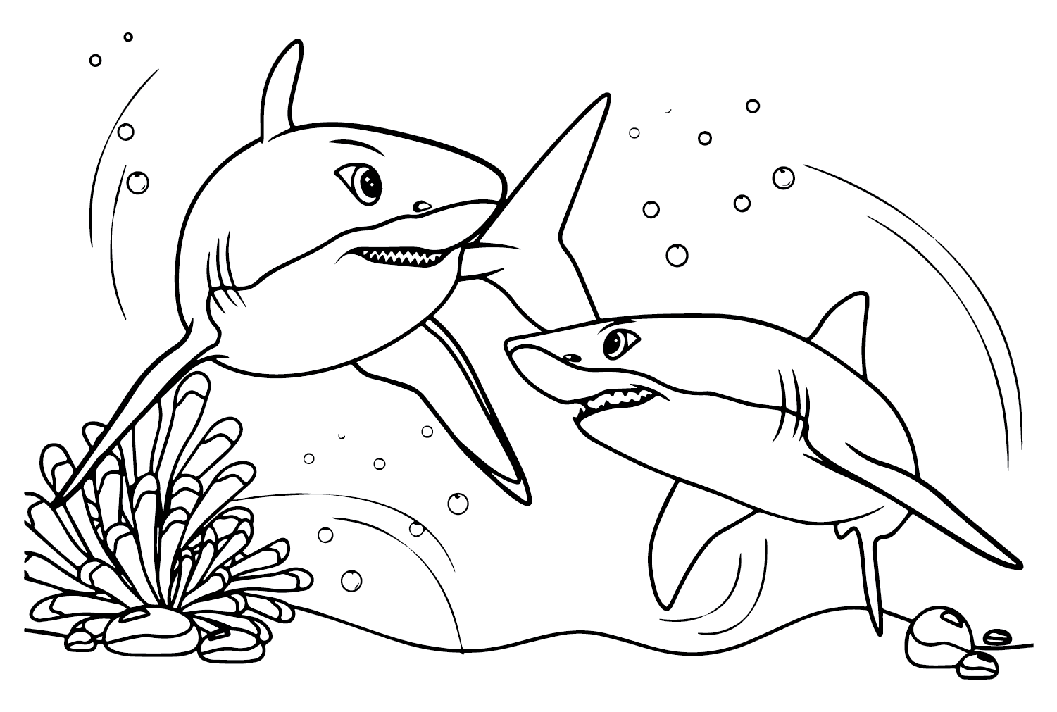 Dos grandes tiburones blancos del gran tiburón blanco