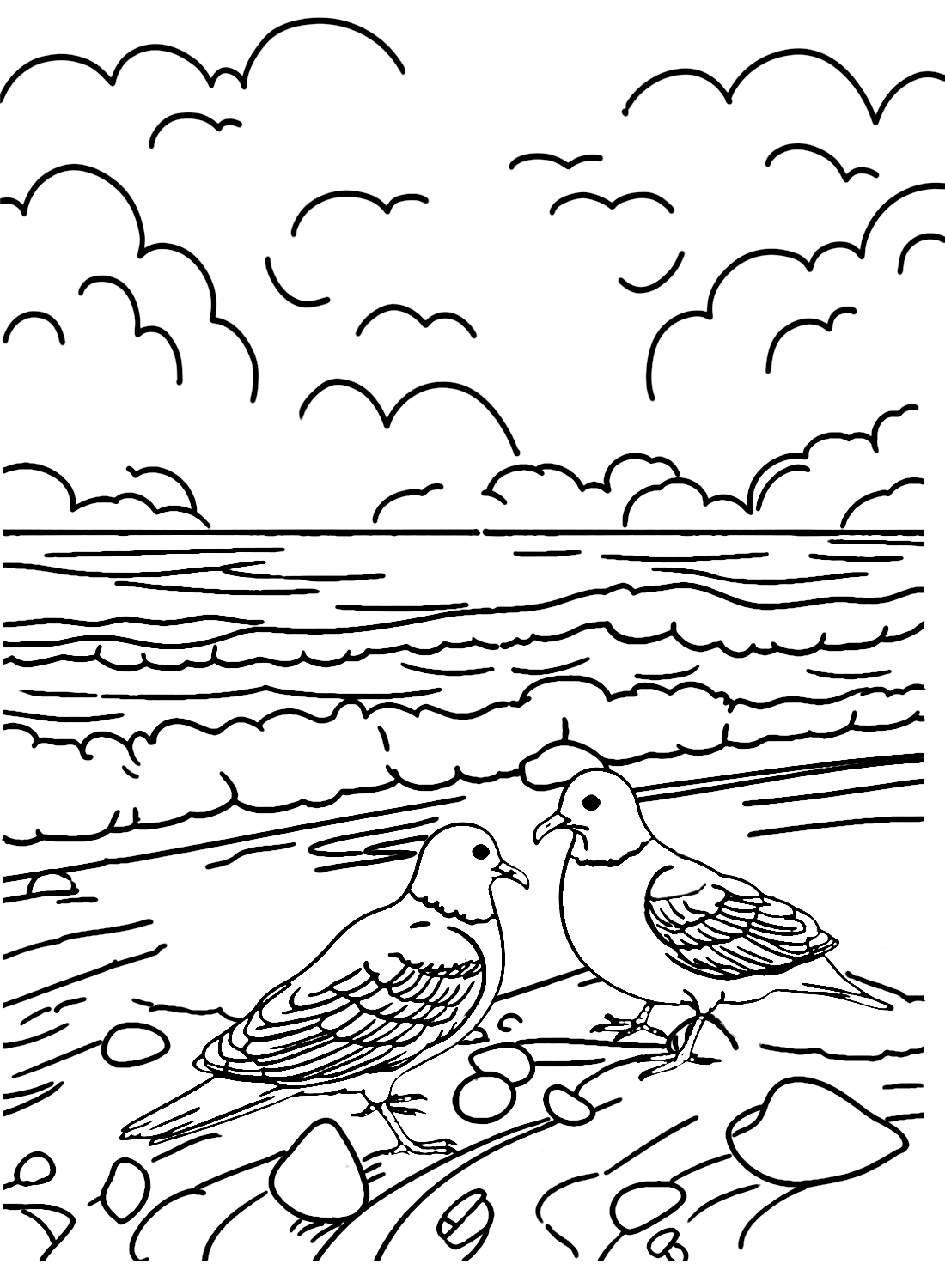 Deux pigeons sur une plage de sable de Pigeon