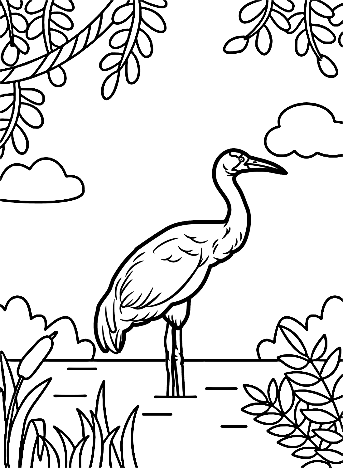 Schreikranichvogel von Crane Bird