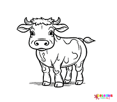 Calf Coloring Pages