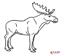 Elk Coloring Pages