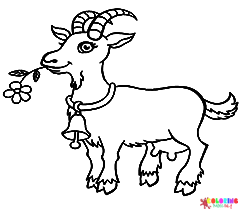 Goat Coloring Pages