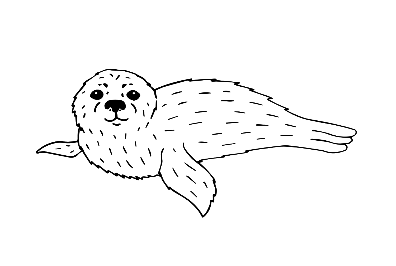 Babyzeehond van Seal