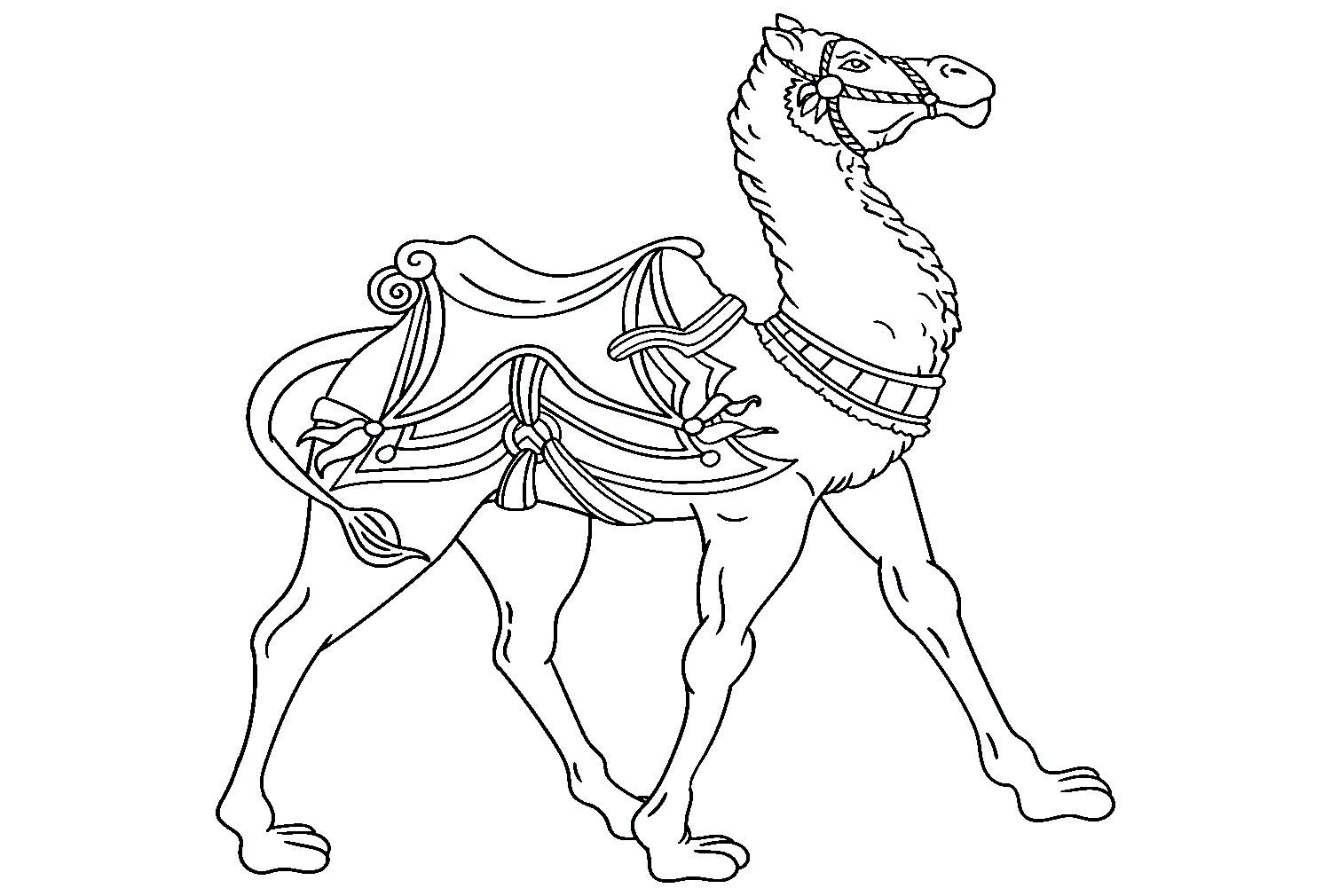 Wunderschönes Kamel von Camel