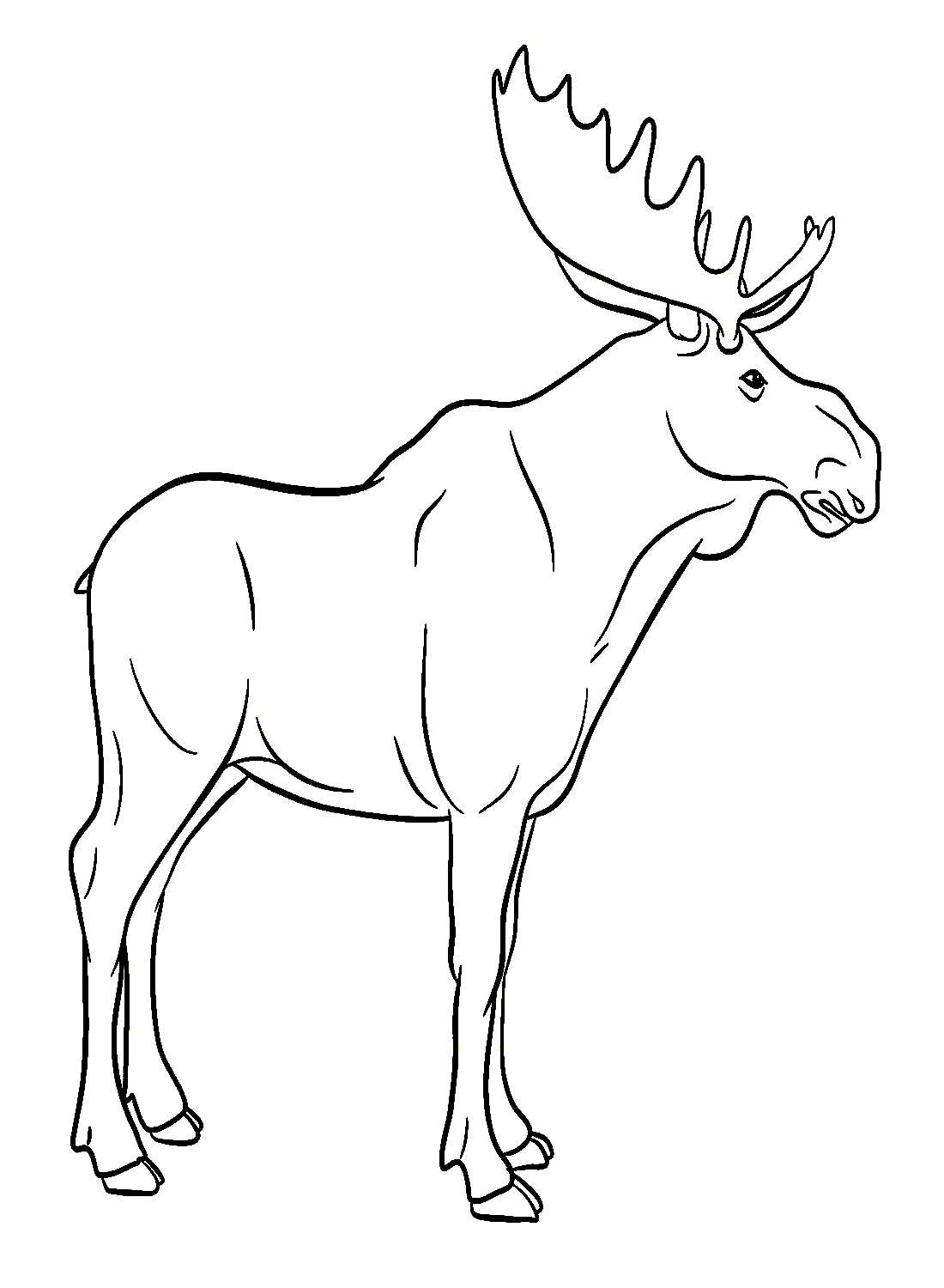 Großer realistischer Elch von Elk