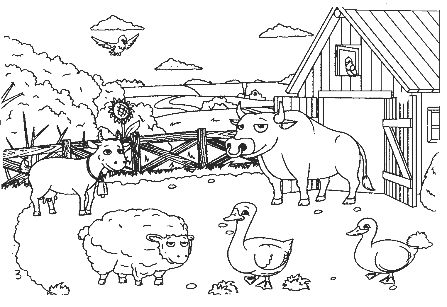 Bull Coloring Pages - Coloring Pages For Kids And Adults