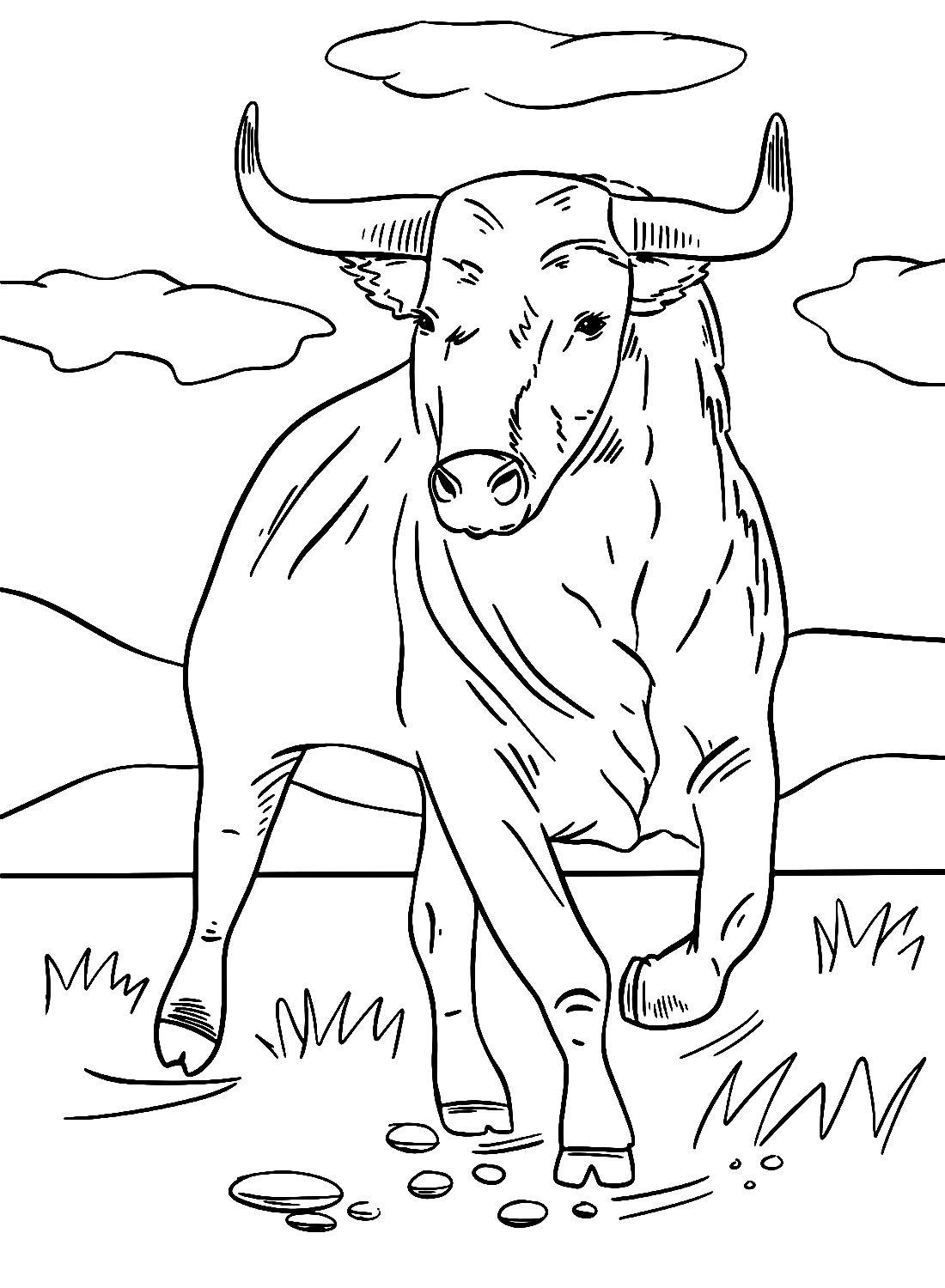 Stier op het gras van Bull