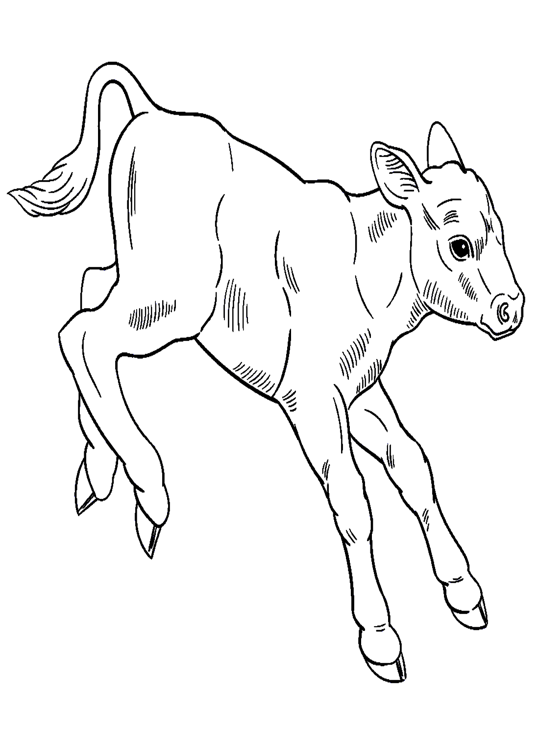 Calf Jumping Coloring Page - Free Printable Coloring Pages