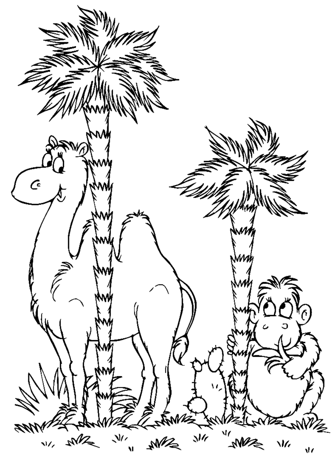 Camello y mono de Camello