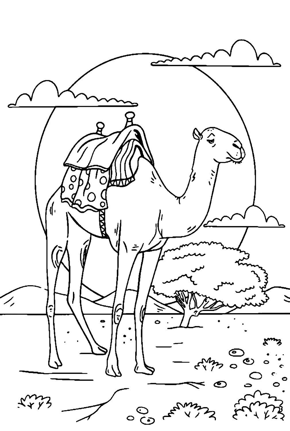 Camello en escena del atardecer de Camel