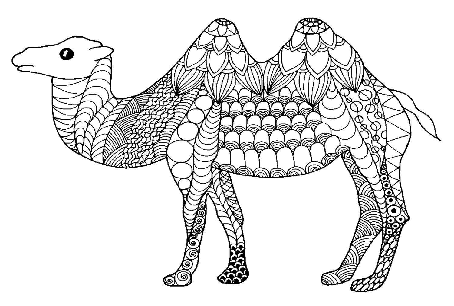 Camello en estilo zentangle de Camel