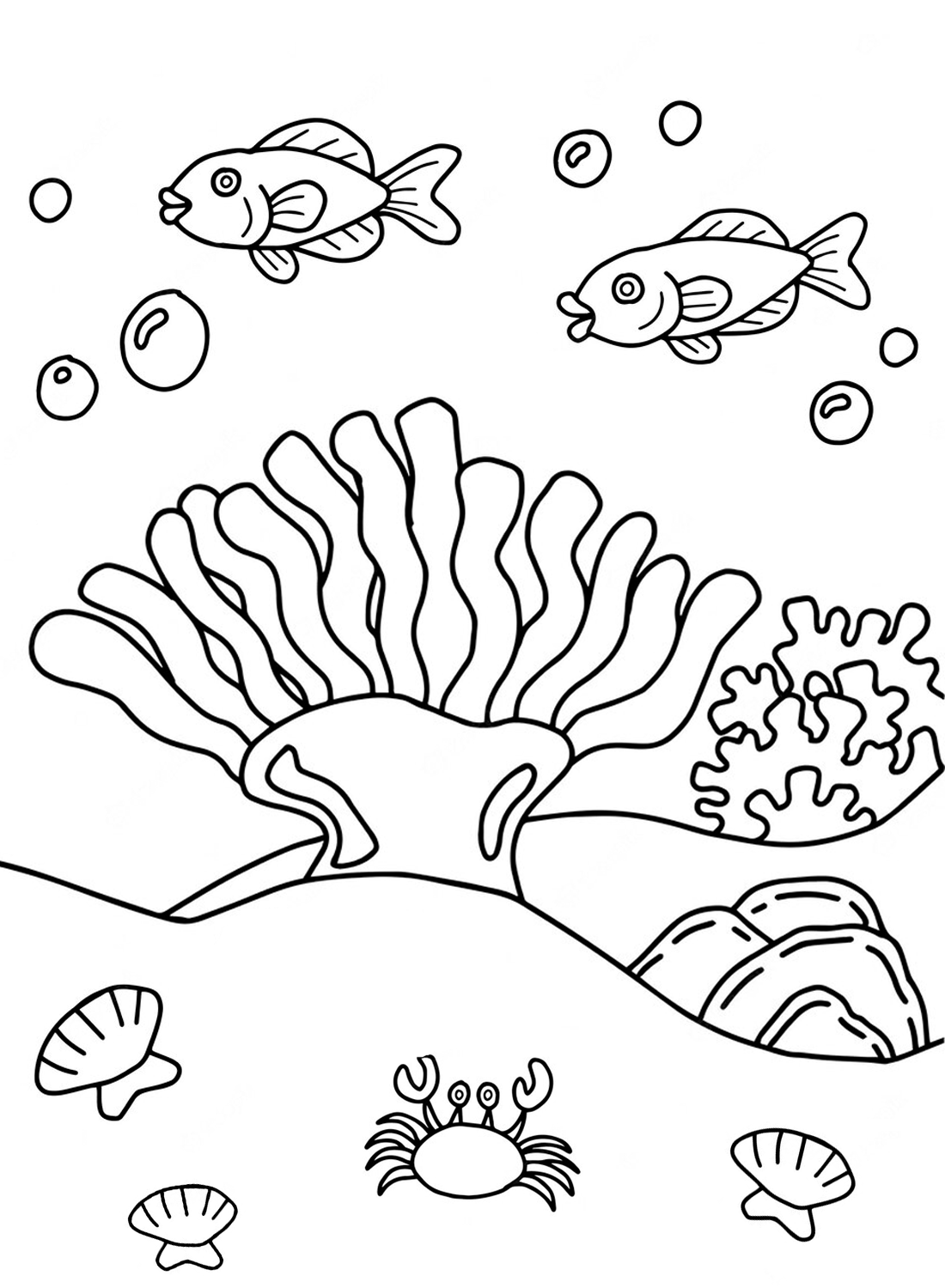 Coral Coloring Page