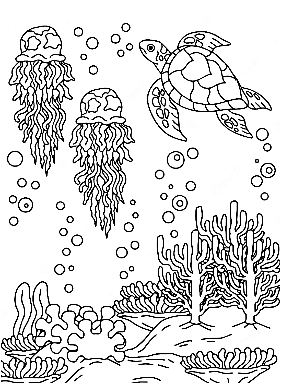 Coral reef Coloring Page
