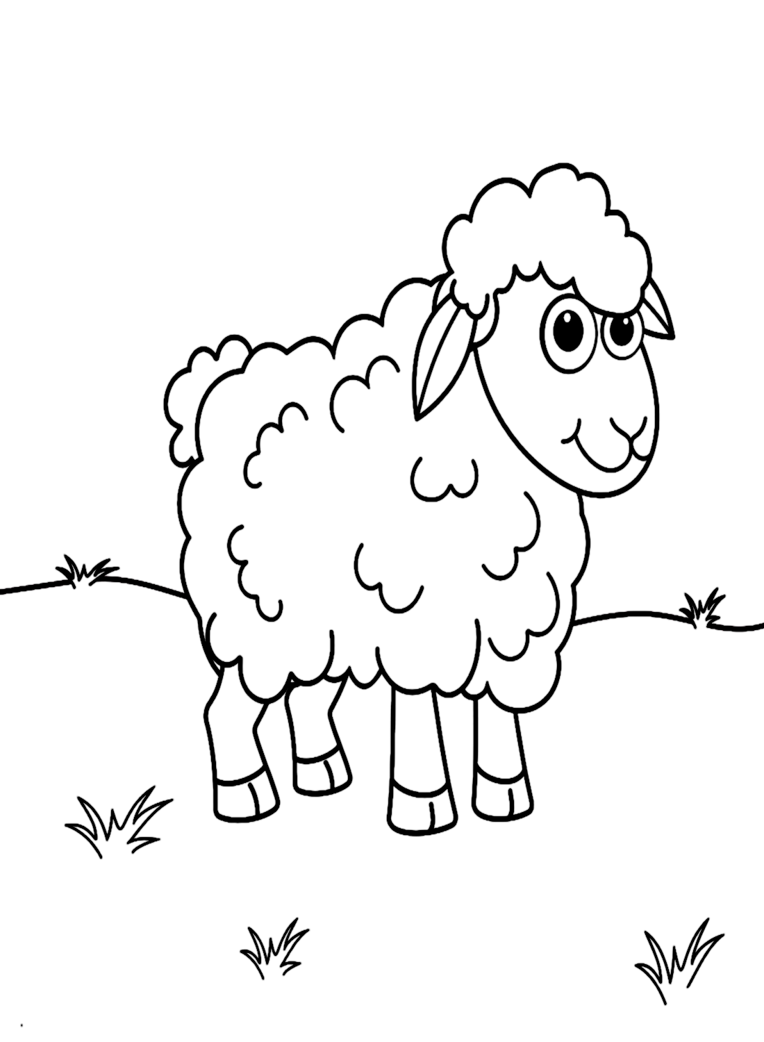 Cute Lamb from Lamb
