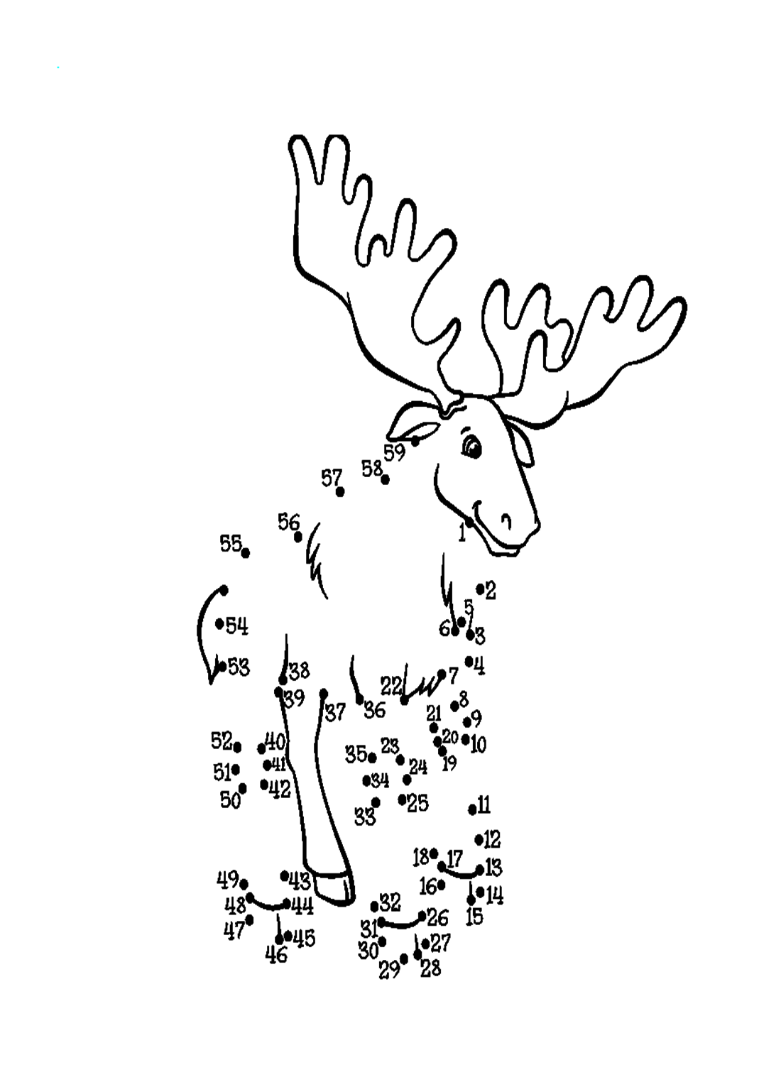Punto per punto Elk per adulti di Elk
