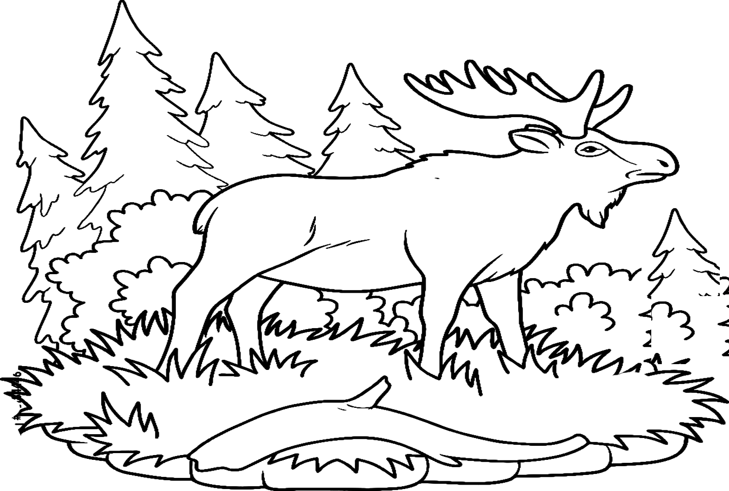 Alce sobre la hierba de Elk