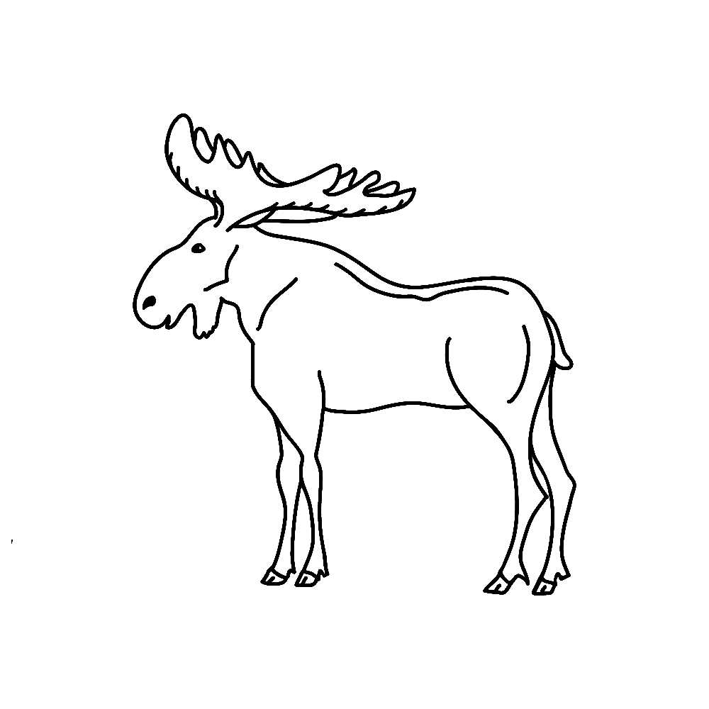 Elk Outline from Elk