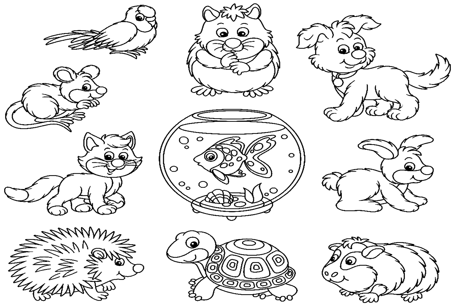 Divertente cartone animato porcellino d'India e altri animali domestici da porcellino d'India