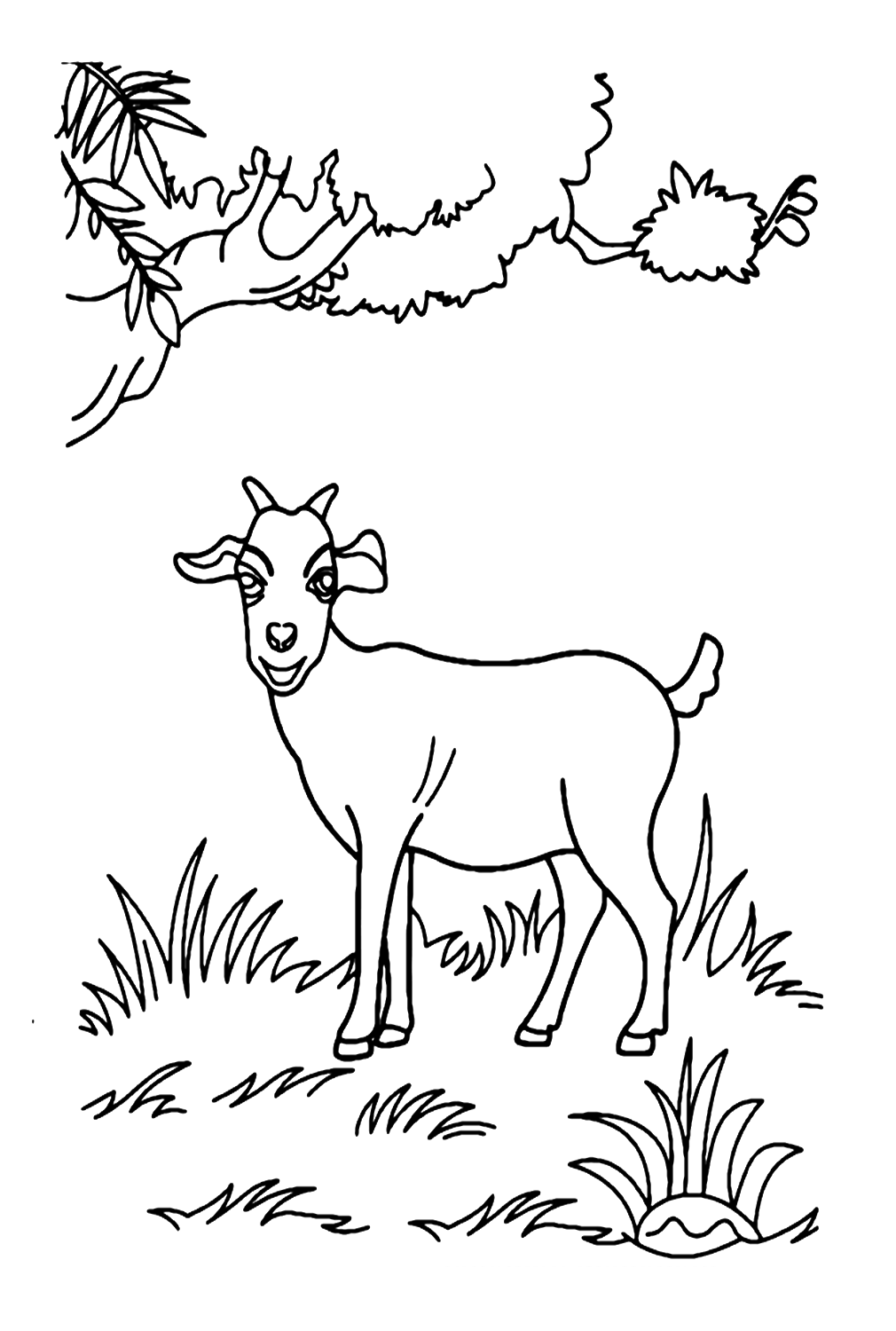山羊站在草地上 来自 山羊