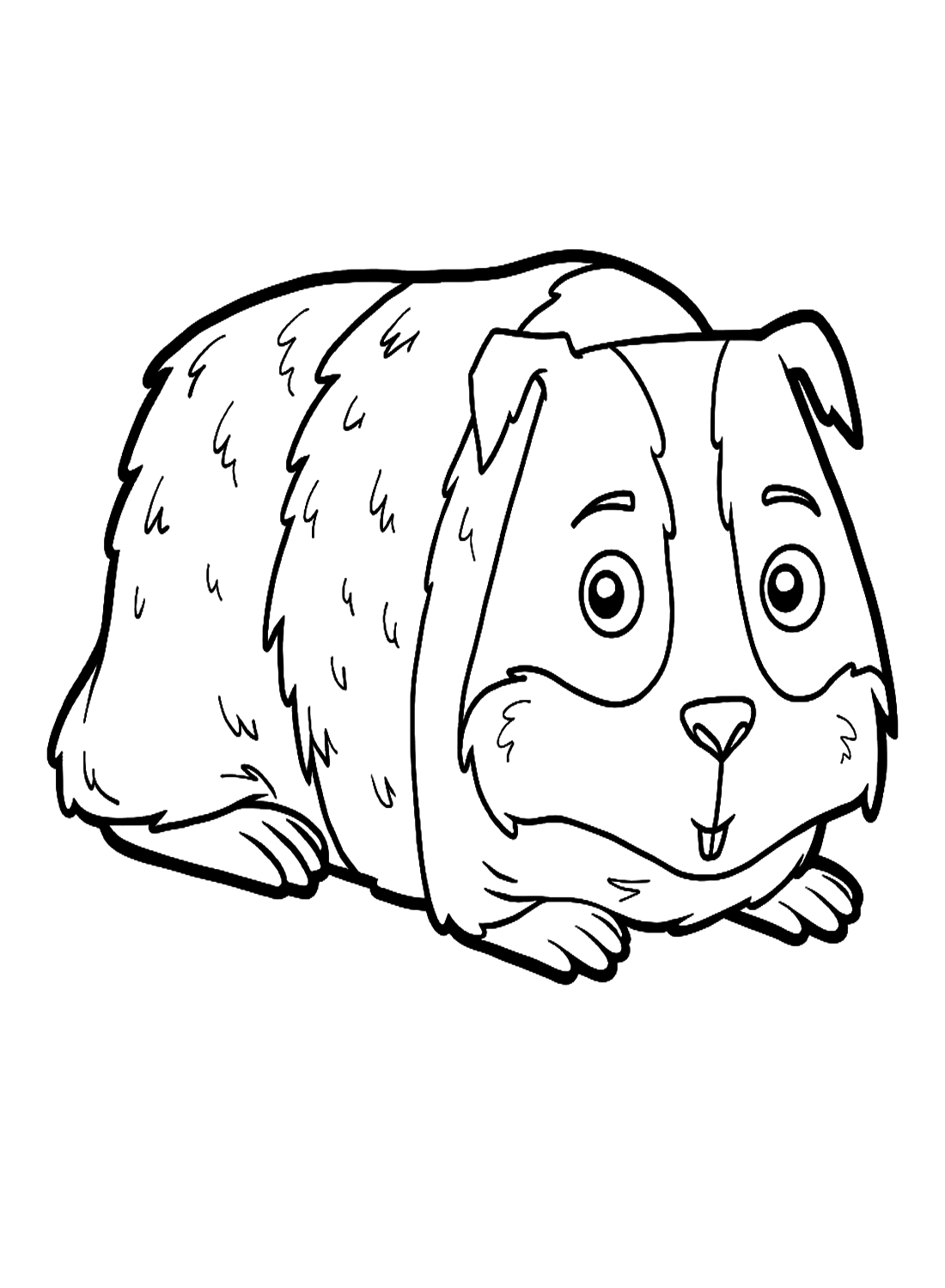 Guinea Pig For Children from Mouse