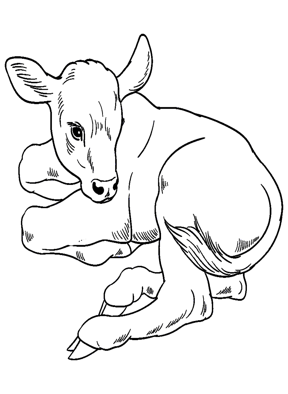 Ручной рисунок теленка, лежащего на земле от теленка