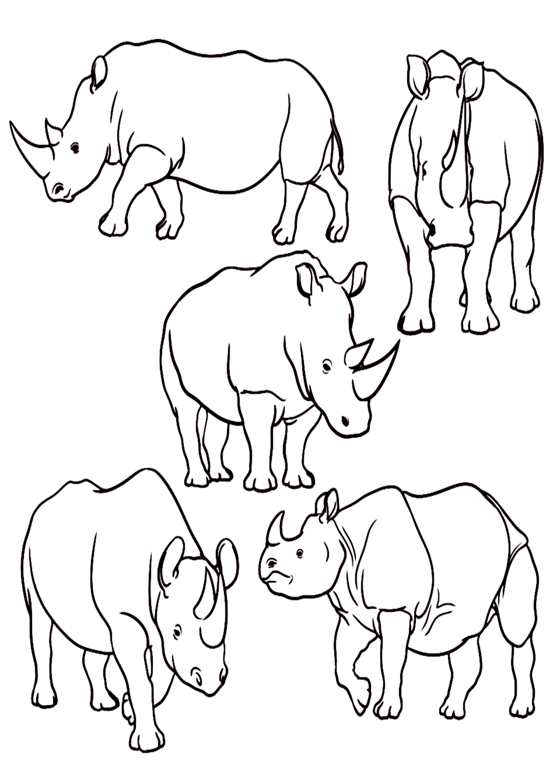 قطيع وحيد القرن من وحيد القرن